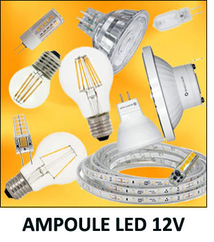 Ampoules 12V - Ecclairage jardin