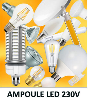 Ampoules LED 230V - Eclairage jardin