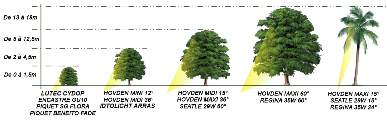 Eclairage des arbustes et des arbres