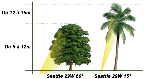 Eclairage arbre avec encastré de sol LUTEC SEATTLE